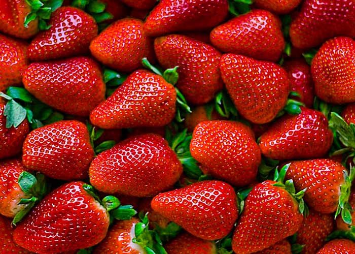 fresas