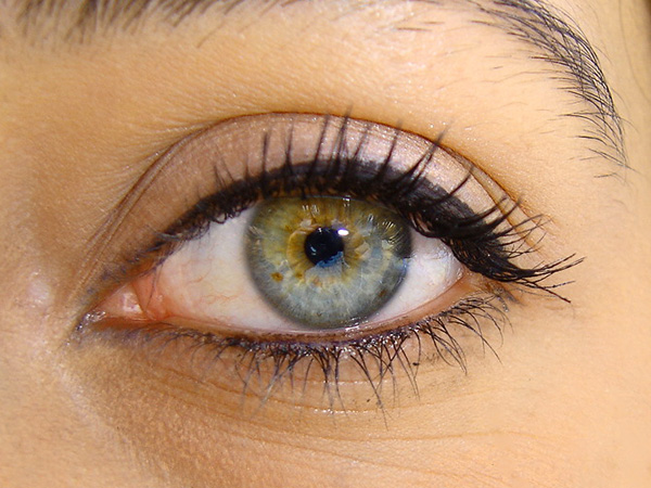 eye