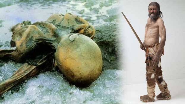 otzi 1