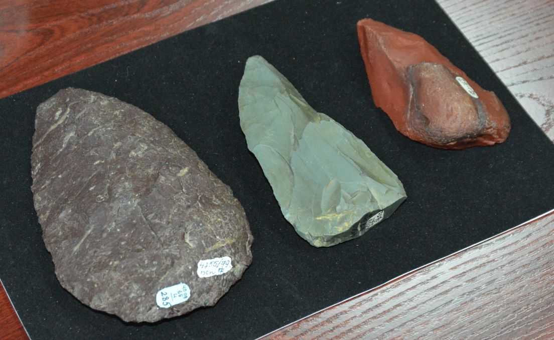 neandertal